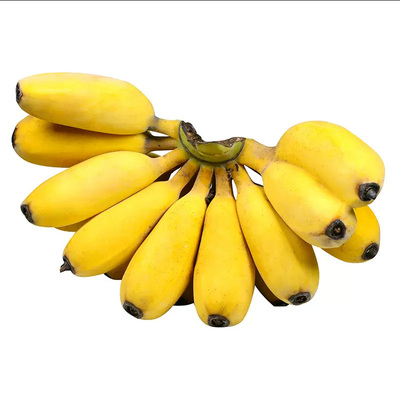 BANAN粉糯香蕉5/9斤|千人加购