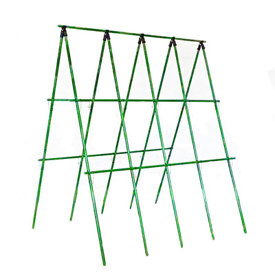 黄瓜爬藤架豆角架西红柿支撑杆瓜果蔬菜搭棚架子植物专用包塑钢管