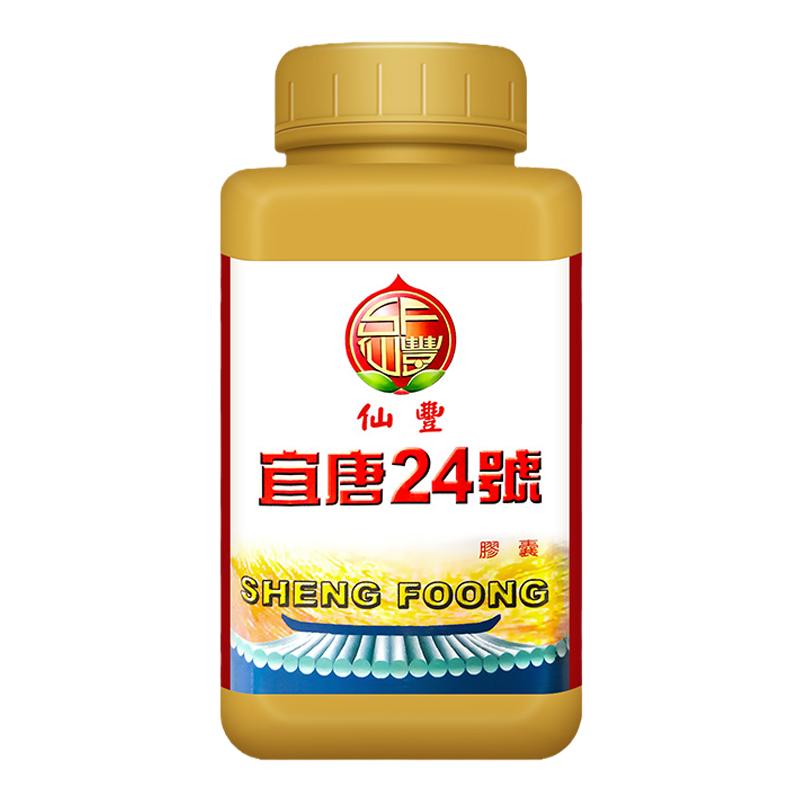 【官方正品】仙丰汉唐24号倪海国际补益安神