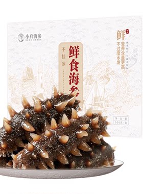 小兵海参辽刺参鲜食海参高营养
