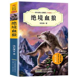 绝境血狼 中外动物小说升级版 沈石溪 动物故事大王沈石溪书9-10-12-15岁儿童小说动物故事书籍 三四五六年级小学生课外书正版畅销