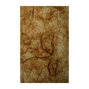 荣宝斋东巴桑皮纸云南麻纸书法纸碑帖纸纯手工复古加厚半生熟皮纸书法国画写意专用纸