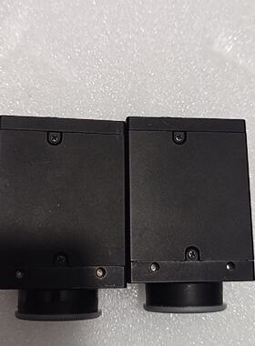 议价Graypoint Industrial Camera Gs3-P-91S6c-C Flir适用
