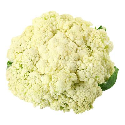 雪山花菜种子蔬菜种籽