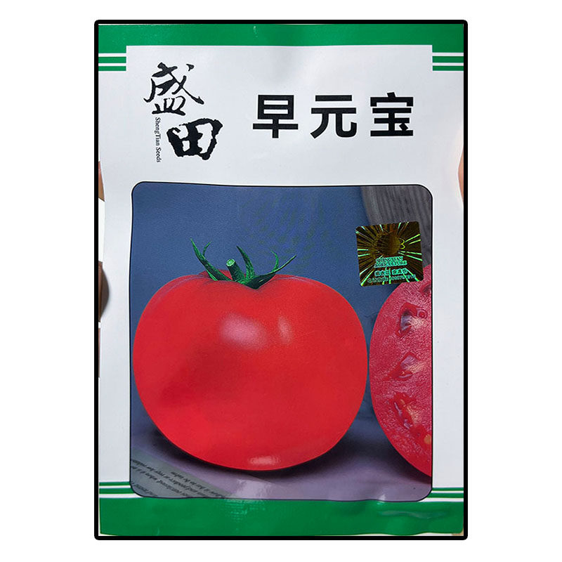 早元宝5g大西红柿番茄蔬菜种子