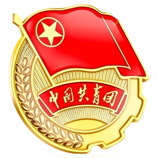 新款学生版准型团徽共青团员学生青年用胸章正规强磁磁吸团微厚版