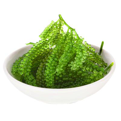 网红即食海葡萄声控解压儿童零食