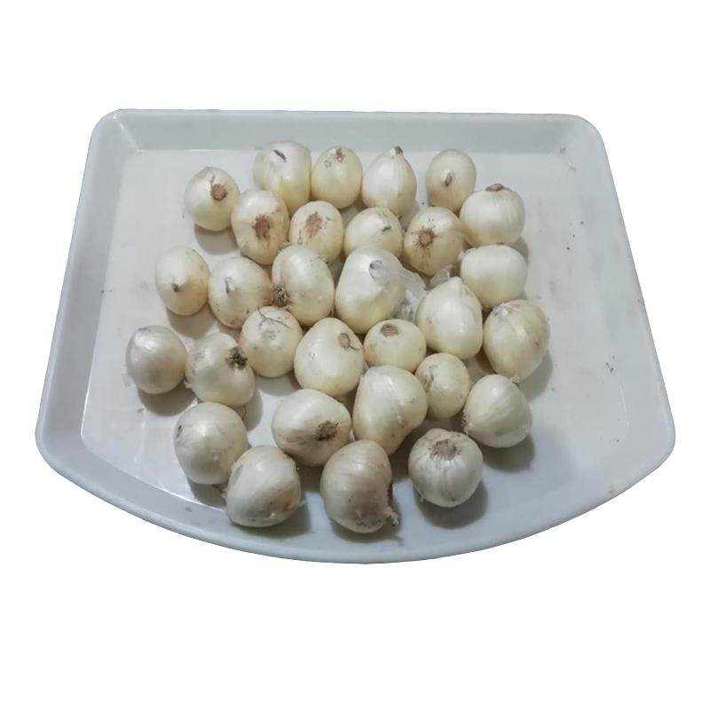 新鲜苦藠小根蒜团葱苦茭头