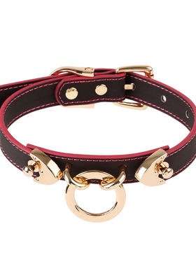 PUPPYRIDER温感变色sp颈环