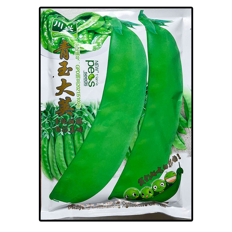 高产脆甜荷兰豆豌豆荚蔬菜种子孑