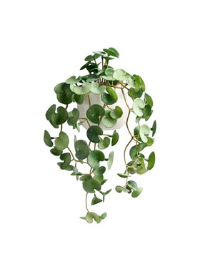 墙面仿真绿植藤条植物假花壁挂