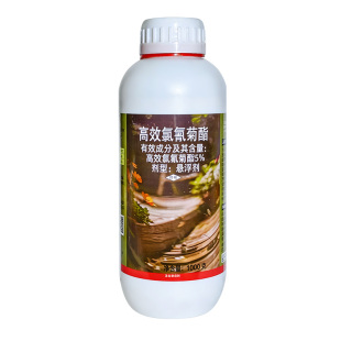 皮蠹杀虫剂除黑皮蠹幼虫小圆蠹虫黑皮虫囊虫花斑皮囊杀黑毛蛀虫