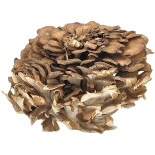 庆菇庆元灰树花500g新货舞菇干货灰树菇高山栗蘑菌菇菊花菌舞茸茶