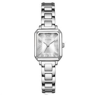 小众手表女2025新款女士表女生机械表正品女款高级感女式机械女表