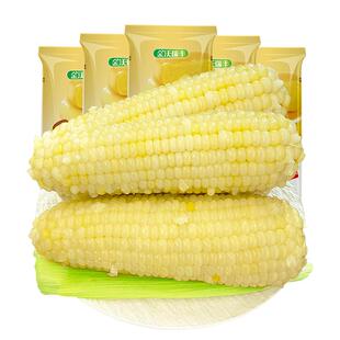 新鲜甜糯玉米软粘孕妇放心粗粮白玉米黄糯彩糯8支