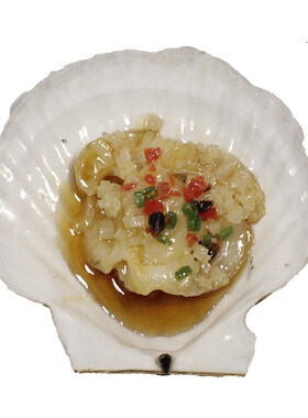 扇贝生蚝海鲜道具食艺轩鲍鱼带子