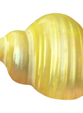 替换壳贝壳海螺寄居蟹珍珠蜗牛
