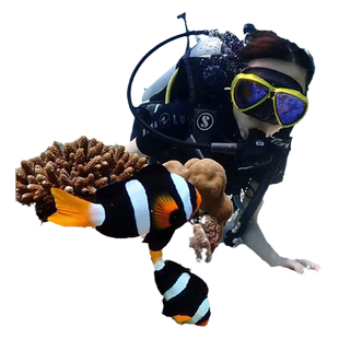 三亚万宁加井岛百福湾分界洲岛大洲岛洲仔岛浮潜帆船游艇海钓潜水