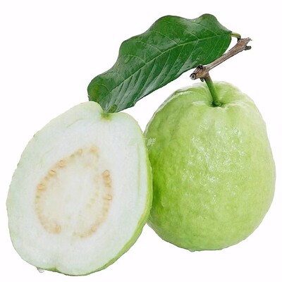 珍珠番石榴爽脆清甜低糖广东