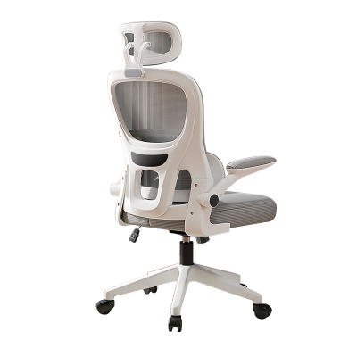 【热销1万+】双背撑腰人体工学椅