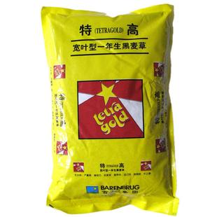 特高宽叶四倍体黑麦草种子 美国百绿进口 南方牛羊鹅兔鼠鱼牧草籽