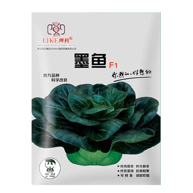 苏州上海青四季蔬菜种子
