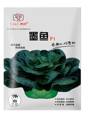 苏州上海青四季蔬菜种子