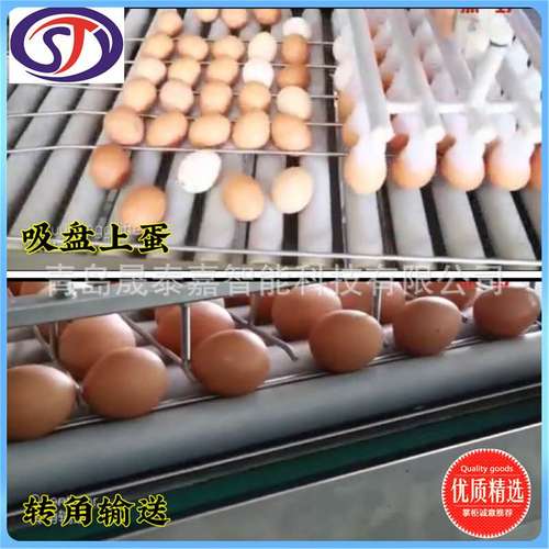 鸡蛋分级机 晟泰嘉选蛋机器 裂纹蛋视觉检测 孵化场鸡蛋选蛋机