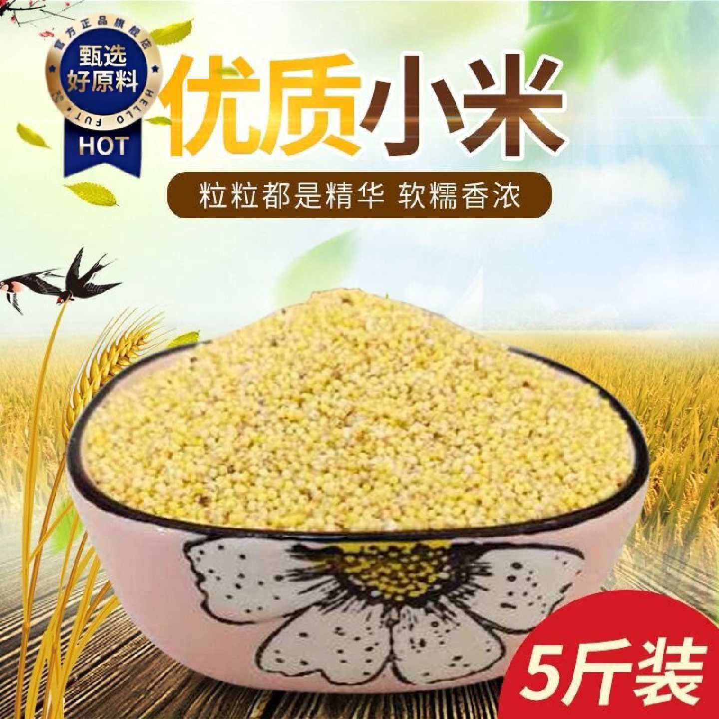 新米低温烘焙熟小黄米食用小米粗粮吃的小米粥五谷杂粮小米黄小米