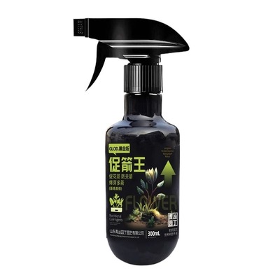 促花箭防夹箭青丛园丁兰花专用