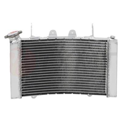 790DUKEAdventureR水箱总成