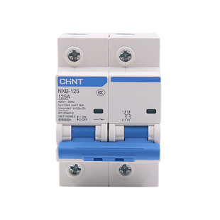 正泰NXB-125空气开关断路器1P2P3P4P大电流总开电闸80A100A125A
