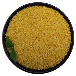 黄小米2025新米沂蒙山农家自种食用五谷杂粮月子米宝宝小黄米500g