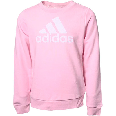 Adidas/阿迪达斯正品春季新款大童运动休闲连帽卫衣IC6119