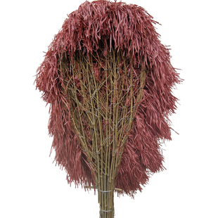 环卫竹扫帚大扫把竹子马路扫竹制塑料丝家用扫地庭院子小扫帚户外