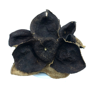 正宗新会陈皮干10年15年30年老陈皮泡水煲汤陈皮丝茶碎500g包邮