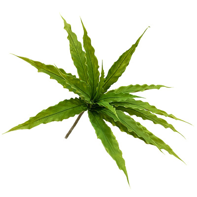 新品仿真鸟巢蕨山苏花手感胶阔叶狼尾蕨假花微景观造景装饰植物