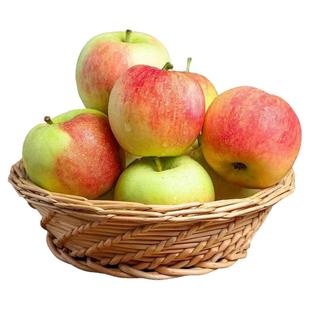 苹果嘎啦5/10斤脆甜非红富士现摘当季新鲜水果不打蜡整箱水果包邮