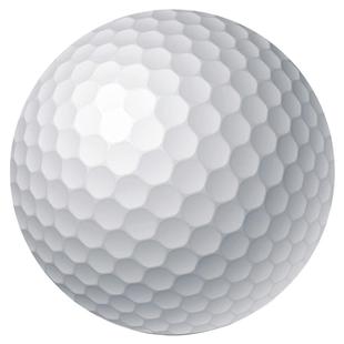 9.9元4个！全新高尔夫球 宠物玩具球 保健按摩球 彩色练习球