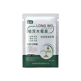 柚子树卷叶病专用肥料防叶子皱缩花叶小叶缩叶炭疽病枯萎病黄叶病