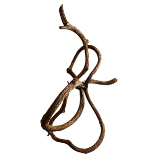 过江龙滕插花枝条藤条干枝树藤枯藤藤蔓老藤树枝干树枝禅意花材