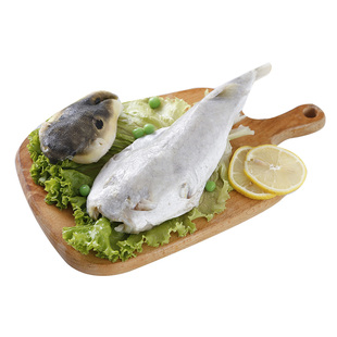 豚之杰河豚鱼食用已处理淡水养殖生鲜靖江特产速冻净重1000g河豚