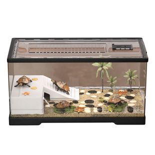 乌龟缸桌面小型带爬台水陆缸塑料透明生态造景寄居蟹相守蟹雨林缸