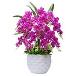 仿真花套装蝴蝶兰花假花盆栽客厅电视柜装饰花客厅室内摆件塑料花