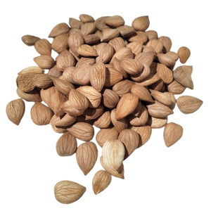 山东特产山杏仁500g甜杏仁野山杏种子杏核农家自产原味无添加包邮