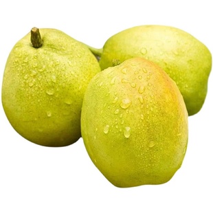 新疆库尔勒香梨全母梨子新鲜孕妇水果整箱10斤精选旗舰店包邮直发