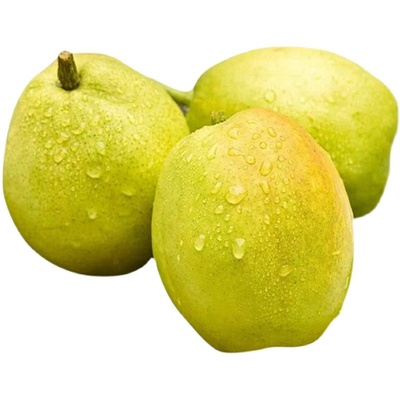 【顺丰包邮】正宗新疆库尔勒香梨