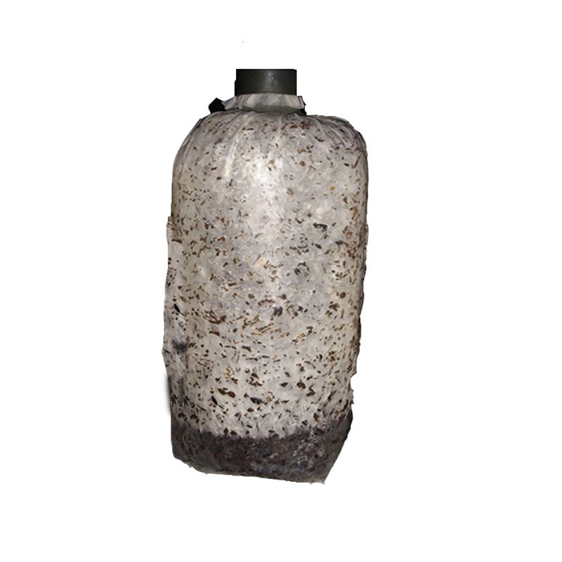 多品种栽培种平菇香菇木耳灵芝