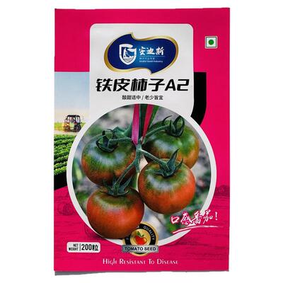 正宗铁皮柿子丹东西红柿种子