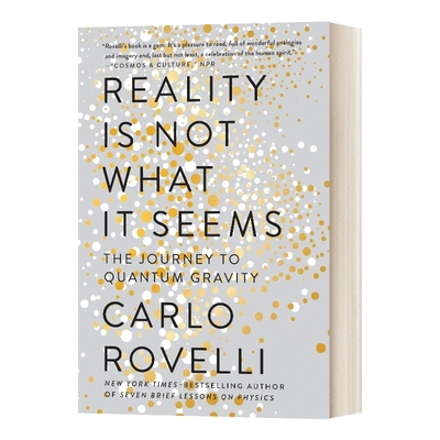 英文原版 Reality Is Not What It Seems 现实不似你所见 量子引力之旅 英文版 进口英语原版书籍